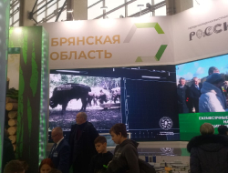 Выставка-форум «Россия» ноябрь 2023